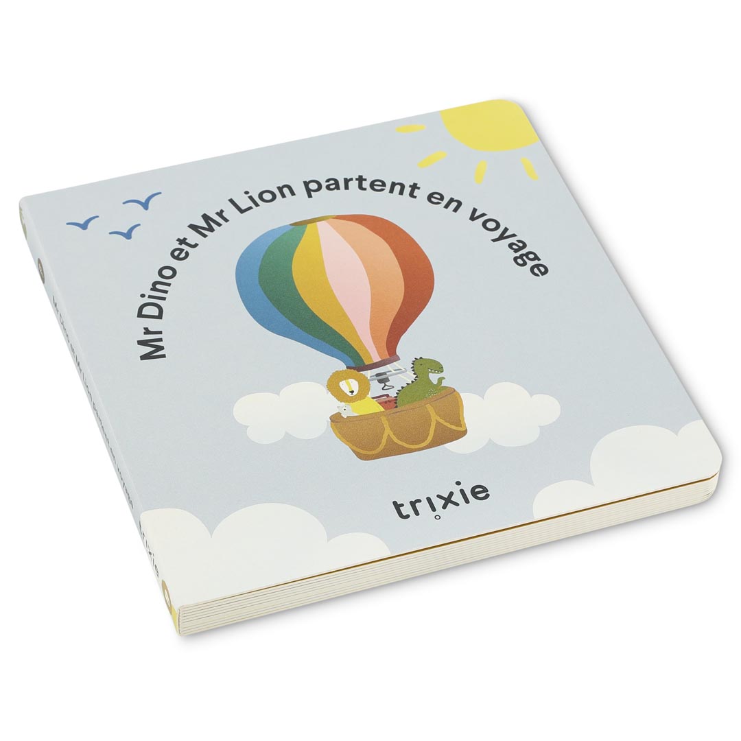 STORYBOOK - TRAVELLING WITH DINO AND LION FR